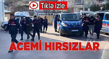 Acemi hırsızlar