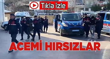 Acemi hırsızlar