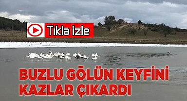 Buz tutan gölün keyfini kazlar çıkardı