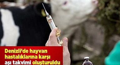 Denizli’de hayvan hastalıklarına karşı aşı takvimi oluşturuldu