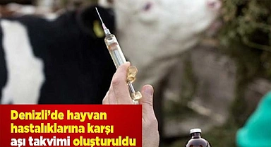 Denizli’de hayvan hastalıklarına karşı aşı takvimi oluşturuldu