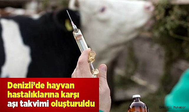 Denizli’de hayvan hastalıklarına karşı aşı takvimi oluşturuldu