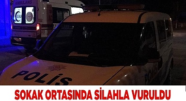 Denizli'de silahlı saldırı