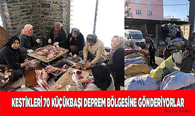 Kestikleri 70 küçükbaşı deprem bölgesine gönderiyorlar