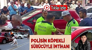 Polisin köpekli sürücüyle imtihanı