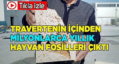 Travertenin içinden milyonlarca yıllık hayvan fosilleri çıktı