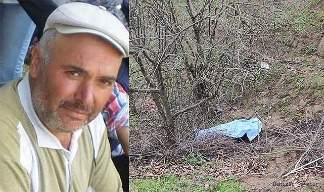 Ağaçtan düşen çiftçi hayatını kaybetti