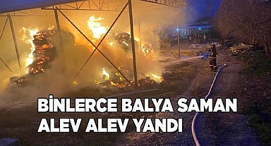 Binlerce balya saman alev alev yandı