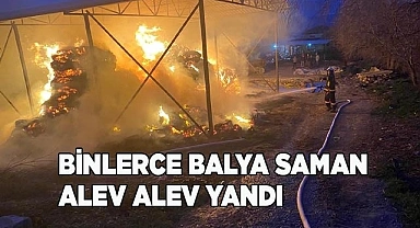 Binlerce balya saman alev alev yandı