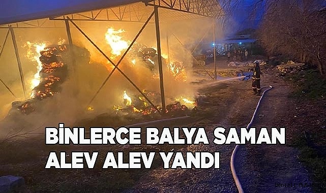 Binlerce balya saman alev alev yandı