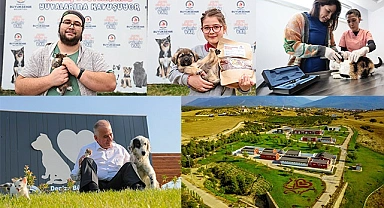 Büyükşehir ile can dostlar da, hayvanseverler de mutlu