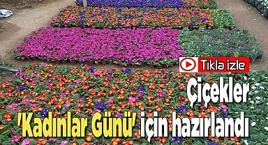 Çiçekler 'Kadınlar Günü' için hazırlandı