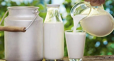 Çiğ Süt Desteği Ödemelerine İlişkin Esaslar Belli Oldu
