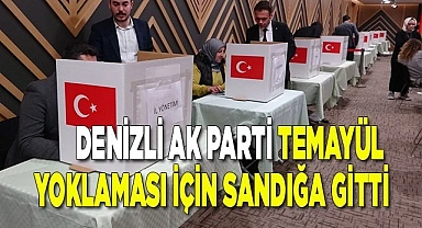 Denizli AK Parti temayül yoklaması için sandığa gitti
