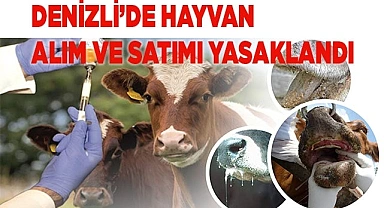 Denizli’de hayvan alım ve satımı yasaklandı