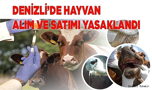 Denizli’de hayvan alım ve satımı yasaklandı