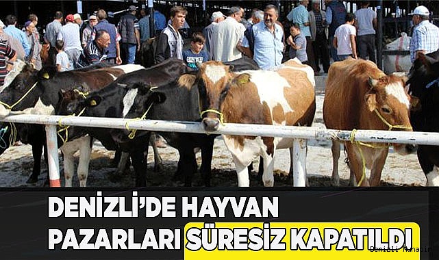 Denizli’de hayvan pazarları süresiz kapatıldı
