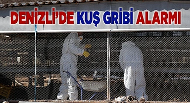 Denizli’de kuş gribi alarmı