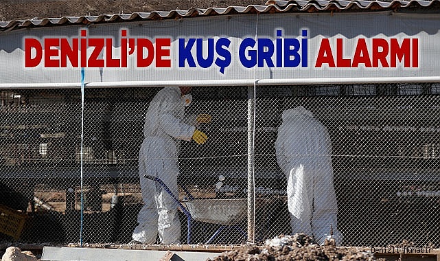 Denizli’de kuş gribi alarmı