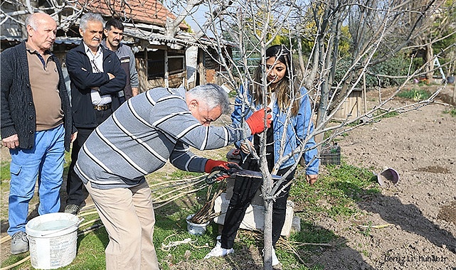 Denizli’de meyve ağaçlarında kaliteli verim almak için doğru budama yöntemleri ile aşılama tekniklerinin teorik ve pratik olarak gösterildiği ve yeni açılan kursa Pamukkaleliler yoğun ilgi gösteriyor.