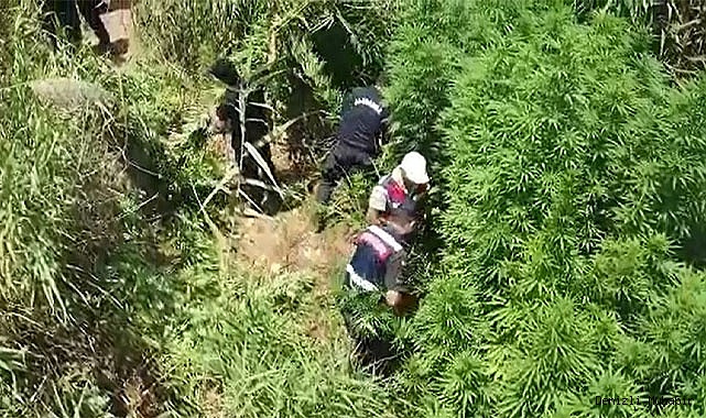 Denizli jandarması suçlulara geçit vermiyor