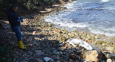 Didim Denizli Öğretmenler Sitesi sahilinde ceset bulundu