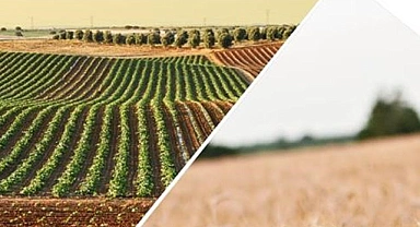 Hasar fazlası desteğine ilişkin Cumhurbaşkanı kararı yayımlandı