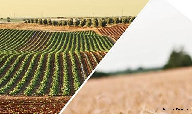 Hasar fazlası desteğine ilişkin Cumhurbaşkanı kararı yayımlandı