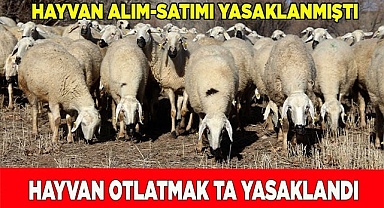 Hayvan otlatmak yasaklandı