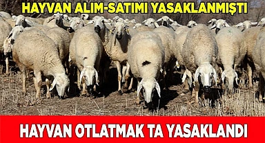 Hayvan otlatmak yasaklandı