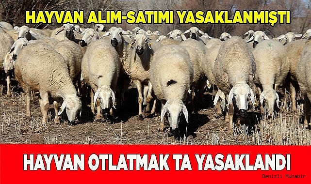 Hayvan otlatmak yasaklandı