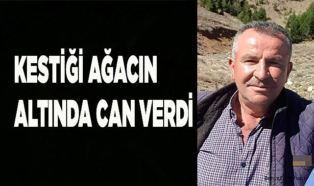 Kestiği ağacın altında can verdi