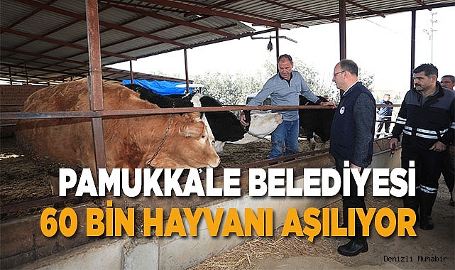 PAMUKKALE BELEDİYESİ 60 BİN HAYVANI AŞILAMAYA BAŞLADI