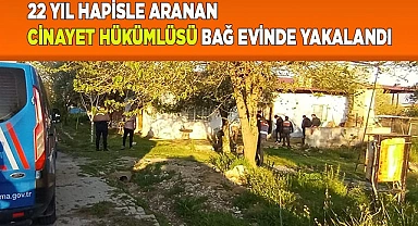 Bar işletmecisini öldüren şahıs yakalandı