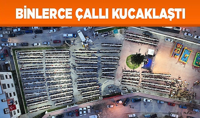 BİNLERCE ÇALLI KUCAKLAŞTI