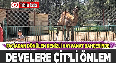 Denizli hayvanat bahçesinde önlemler artırıldı