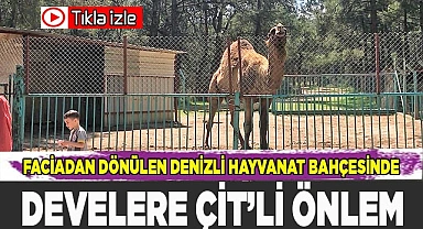 Denizli hayvanat bahçesinde önlemler artırıldı