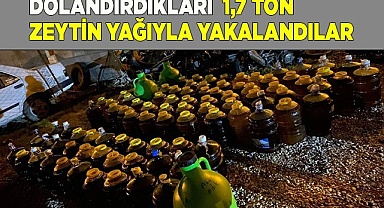 Dolandırıcılık yoluyla elde ettikleri 1,7 ton zeytinyağıyla yakalandılar