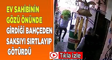 Ev sahibinin gözü önünde bahçeden saksıyı sırtlayıp götürdü