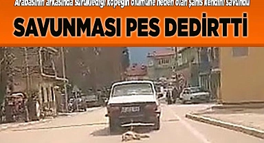 Köpeği araca bağlayıp sürükleyerek öldüren şahsın savunmasına tepki