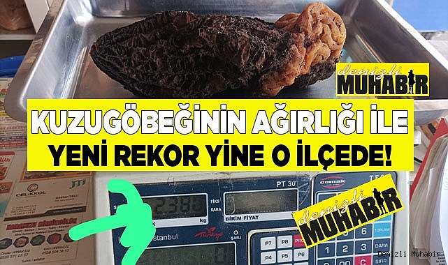 Kuzugöbeğinin ağırlığı ile yeni rekor yine o ilçede
