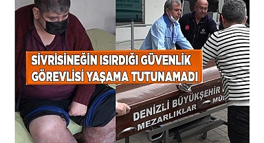 Sivrisineğin ısırdığı güvenlik görevlisi yaşama tutunamadı