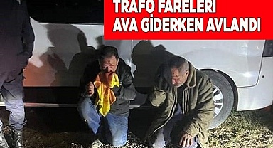 Trafo fareleri ava giderken avlandı