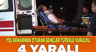 Yol kenarında oturan gençler tüfekle vuruldu