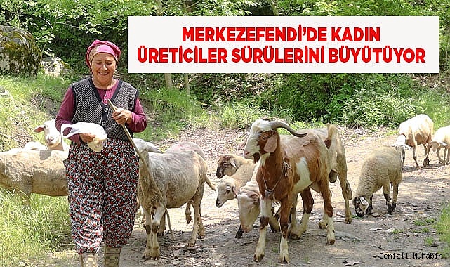 MERKEZEFENDİ'DE KADIN ÜRETİCİLER SÜRÜLERİNİ BÜYÜTÜYOR