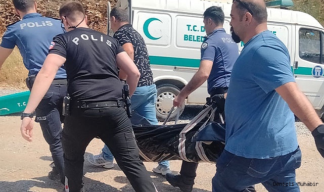 Bahçedeki kamelyada ölü olarak bulundu