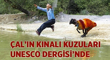 ÇAL’IN KINALI KUZULARINI DÜNYA TANIYOR