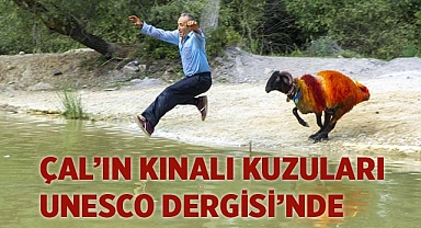 ÇAL’IN KINALI KUZULARINI DÜNYA TANIYOR
