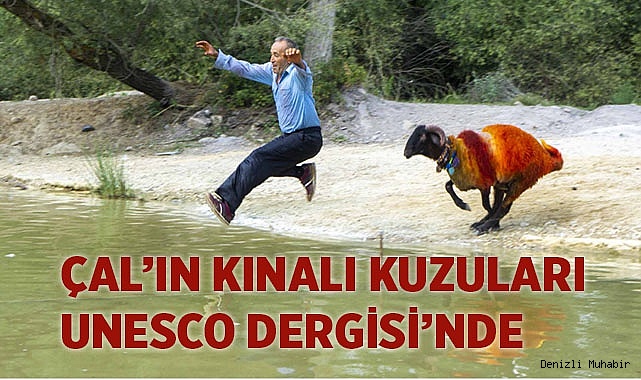 ÇAL’IN KINALI KUZULARINI DÜNYA TANIYOR