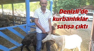 Denizli’de kurbanlıklar satışa çıktı